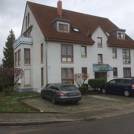 Ferienwohnung Lavate 2 Orschweier エクステリア 写真